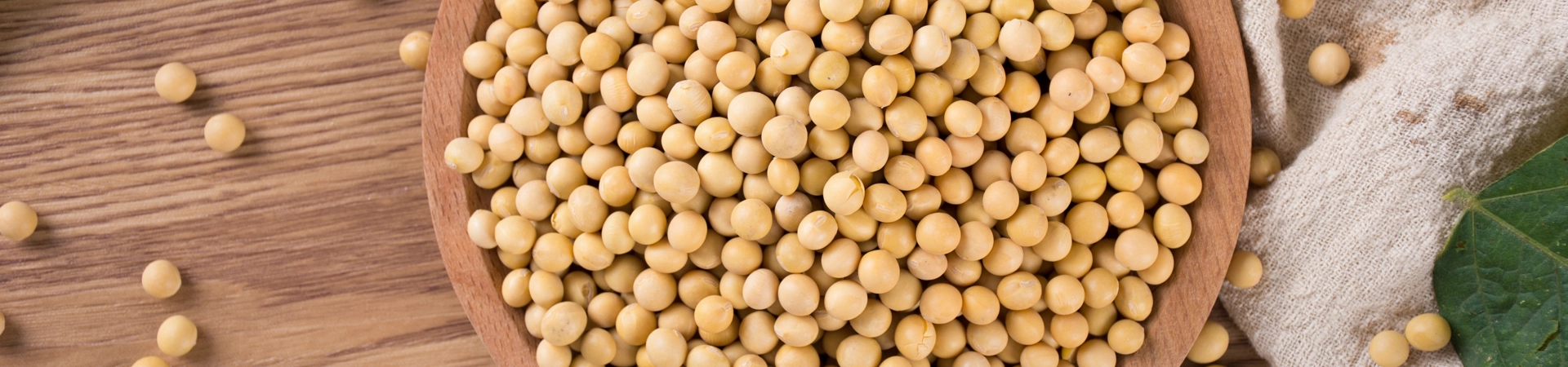 Soluciones de clasificación de soja